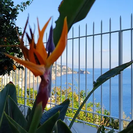 Villa Marunnella *