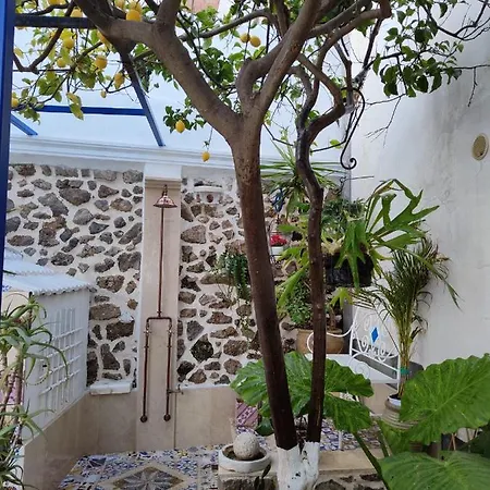 Marunnella *